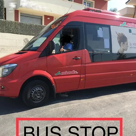 Amaranto Матера