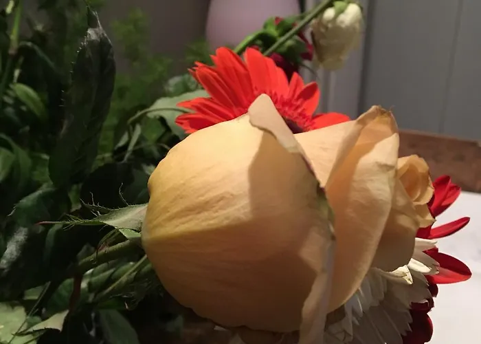 Amaranto Bed & Breakfast 4*