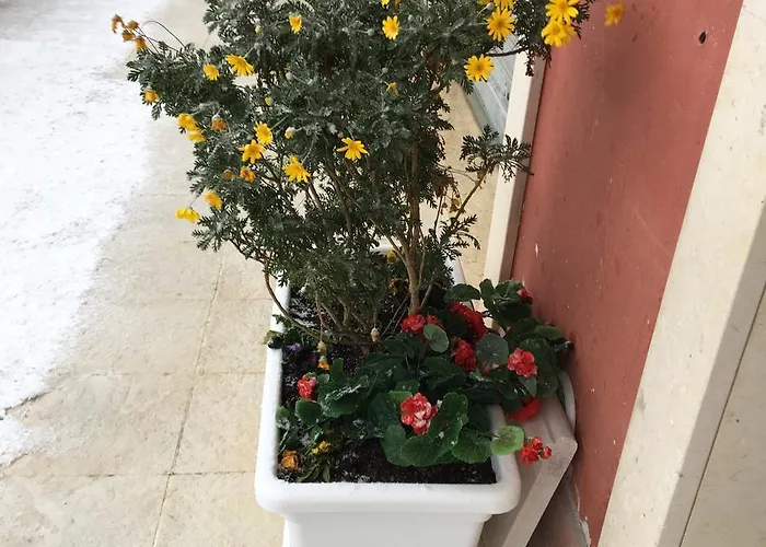 Amaranto Bed & Breakfast